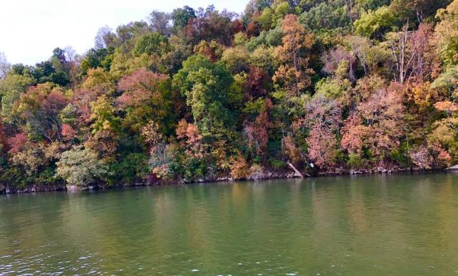 TNChatt